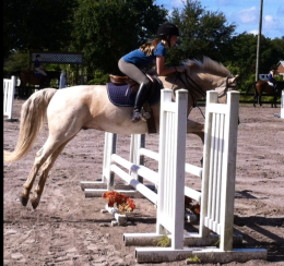 Riley jumping